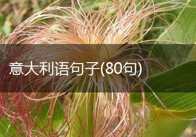 意大利语句子(80句)