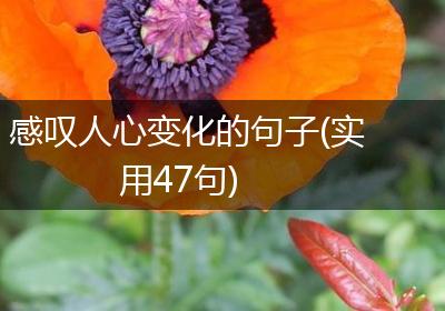 感叹人心变化的句子(实用47句)