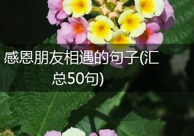 感恩朋友相遇的句子(汇总50句)