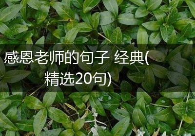 感恩老师的句子 经典(精选20句)