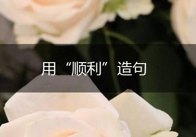 用“顺利”造句