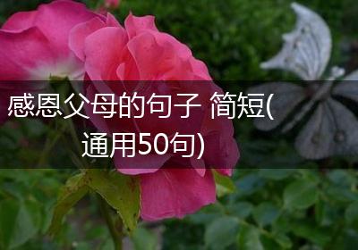 感恩父母的句子 简短(通用50句)