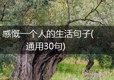 感慨一个人的生活句子(通用30句)