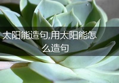 太阳能造句,用太阳能怎么造句