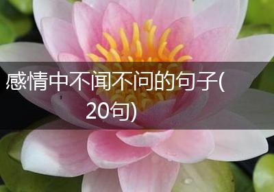 感情中不闻不问的句子(20句)