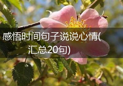 感悟时间句子说说心情(汇总20句)