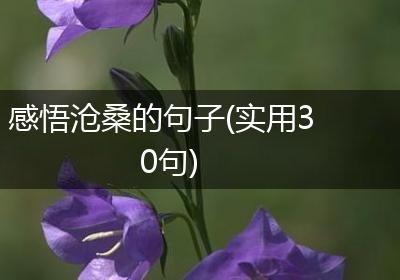 感悟沧桑的句子(实用30句)