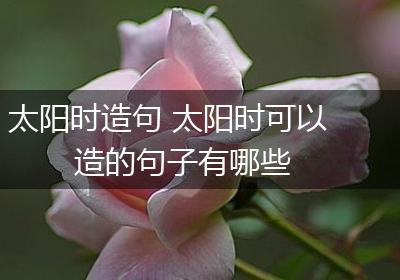 太阳时造句 太阳时可以造的句子有哪些