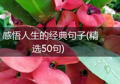 感悟人生的经典句子(精选50句)