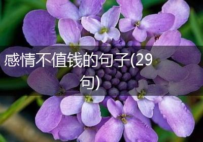 感情不值钱的句子(29句)