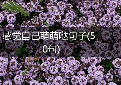 感觉自己萌萌哒句子(50句)
