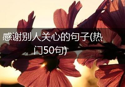 感谢别人关心的句子(热门50句)