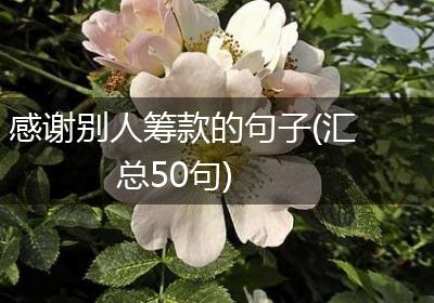 感谢别人筹款的句子(汇总50句)