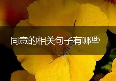 同意的相关句子有哪些