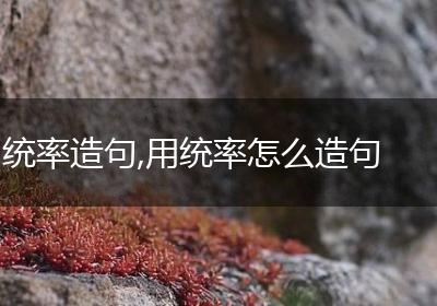 统率造句,用统率怎么造句