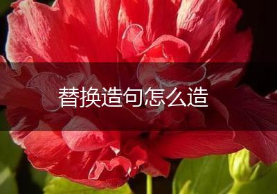 替换造句怎么造