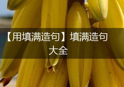【用填满造句】填满造句大全
