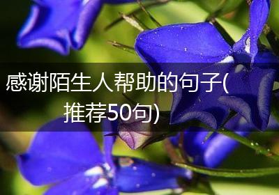 感谢陌生人帮助的句子(推荐50句)