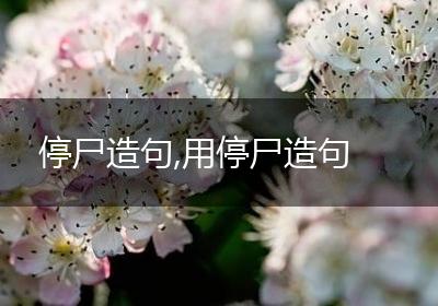 停尸造句,用停尸造句