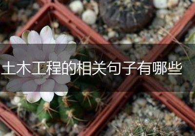 土木工程的相关句子有哪些