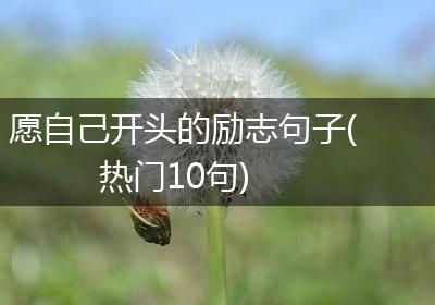 愿自己开头的励志句子(热门10句)