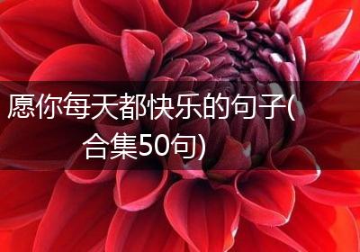 愿你每天都快乐的句子(合集50句)