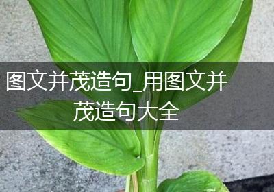 图文并茂造句_用图文并茂造句大全