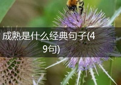 成熟是什么经典句子(49句)