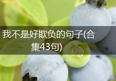 我不是好欺负的句子(合集43句)