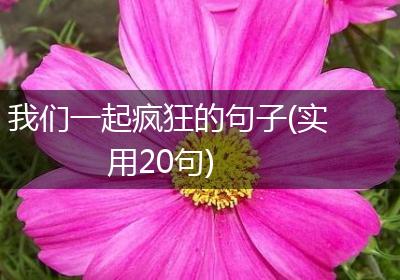 我们一起疯狂的句子(实用20句)