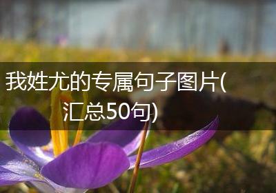 我姓尤的专属句子图片(汇总50句)