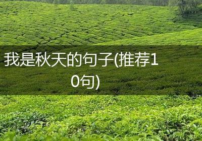 我是秋天的句子(推荐10句)
