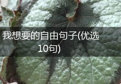 我想要的自由句子(优选10句)