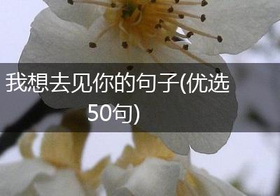 我想去见你的句子(优选50句)