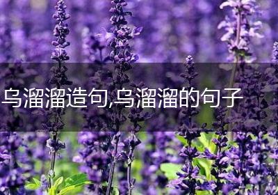 乌溜溜造句,乌溜溜的句子