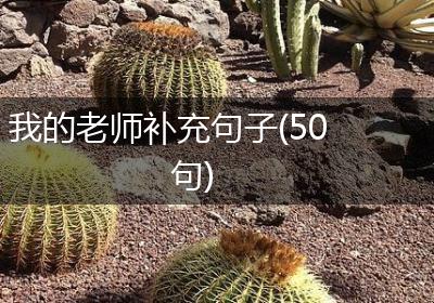 我的老师补充句子(50句)