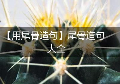【用尾骨造句】尾骨造句大全