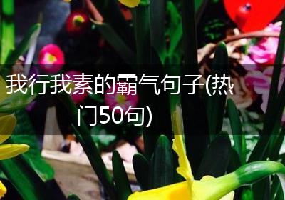 我行我素的霸气句子(热门50句)