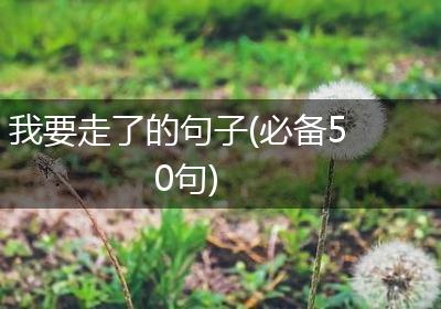 我要走了的句子(必备50句)
