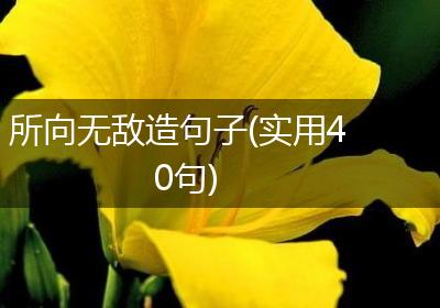 所向无敌造句子(实用40句)