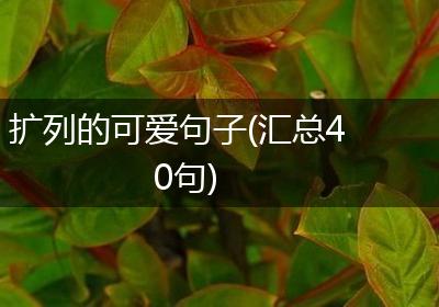 扩列的可爱句子(汇总40句)