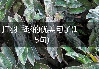 打羽毛球的优美句子(15句)