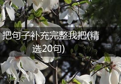 把句子补充完整我把(精选20句)