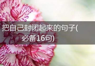 把自己封闭起来的句子(必备16句)