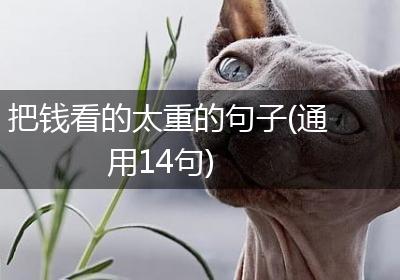 把钱看的太重的句子(通用14句)