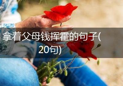 拿着父母钱挥霍的句子(20句)