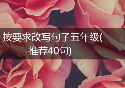 按要求改写句子五年级(推荐40句)