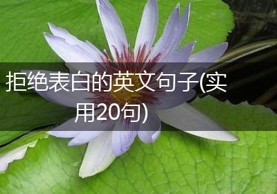 拒绝表白的英文句子(实用20句)