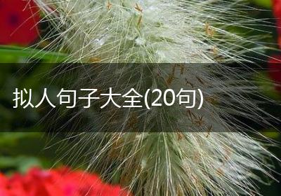 拟人句子大全(20句)