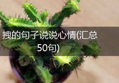 拽的句子说说心情(汇总50句)